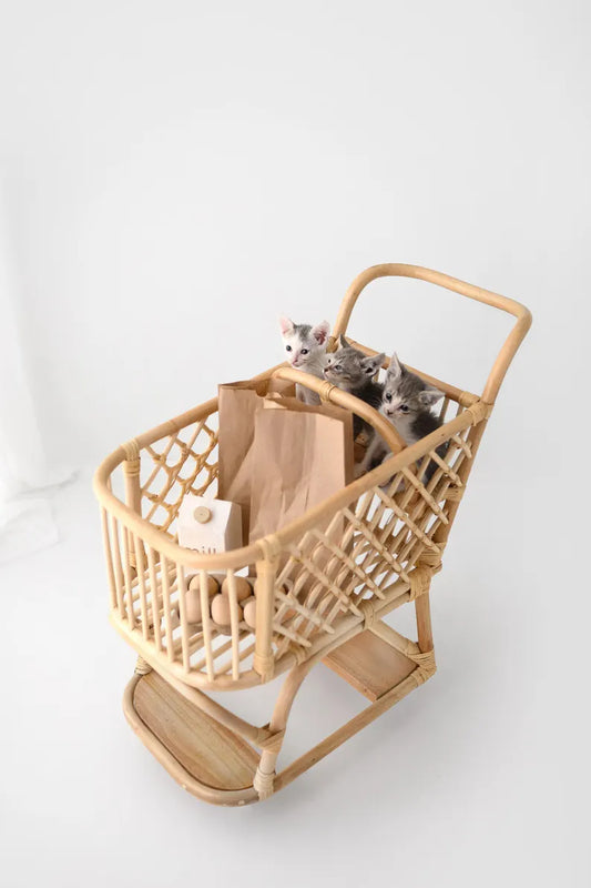 Little Shopper Rattan Cart - Children's Toy Pretend Play - Boho Rattan Shopping Cart Kitchen Toy