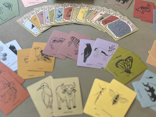 Natural Order - A Symbiotic Relationship Matching Game, Eco friendly Memory Game Toy, Card Game Gift for Animal, Ecology, and Nature Lover